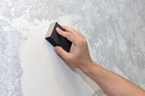 Environmental Consulting for Mold Prevention in Michigan City, IN