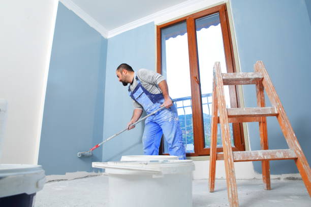Best Mold Damage Restoration  in Michigan City, IN