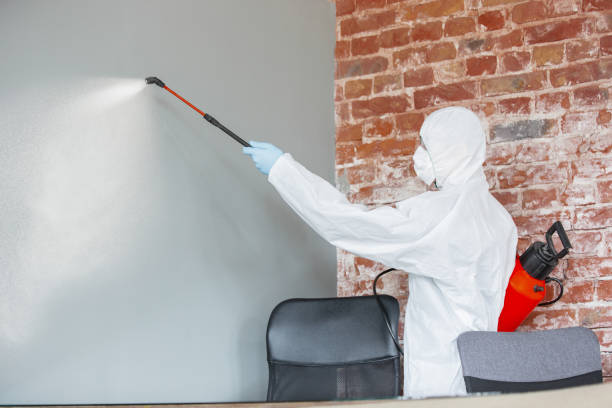 Best Emergency Mold Remediation  in Michigan City, IN