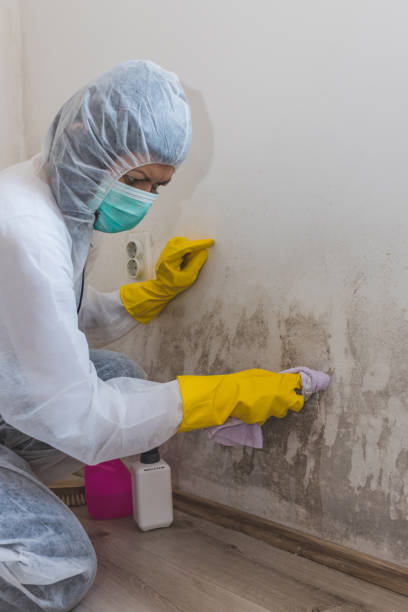 Best Indoor Air Quality Assessment  in Michigan City, IN