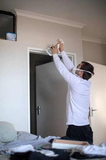 Best Asbestos and Lead Testing During Mold Inspection  in Michigan City, IN