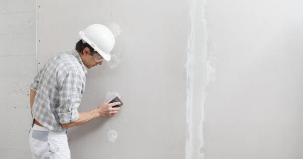 Best Mold-Related Health Consultation  in Michigan City, IN