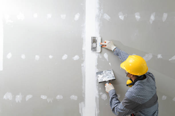 Best Real Estate Mold Inspection  in Michigan City, IN