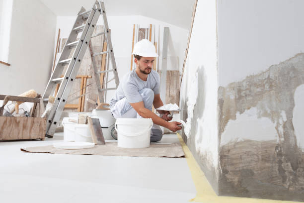Professional Mold Removal in Michigan City, IN