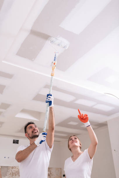 Best Water Damage & Mold Remediation  in Michigan City, IN