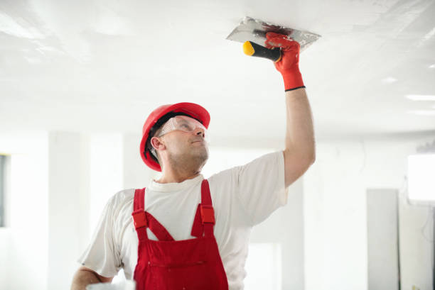 Best Residential Mold Inspection & Testing  in Michigan City, IN