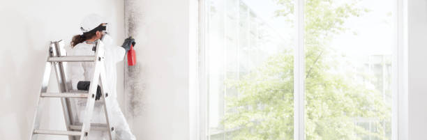 Best Post-Construction Mold Inspection  in Michigan City, IN