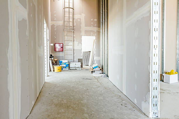 Best HVAC Mold Inspection and Cleaning  in Michigan City, IN