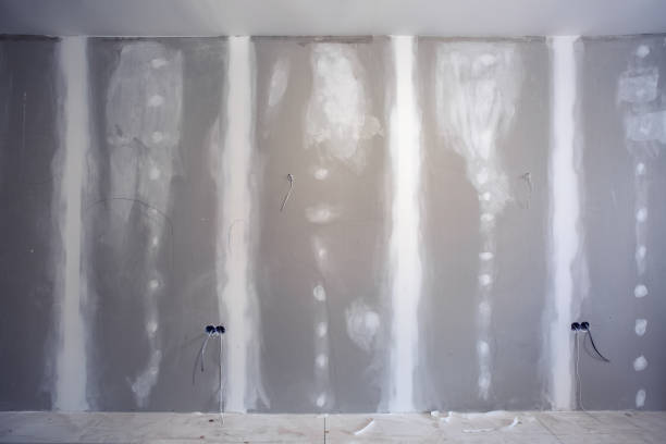 Best Comprehensive Air Testing for Mold Contaminants  in Michigan City, IN
