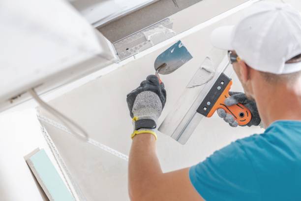 Best Environmental Consulting for Mold Prevention  in Michigan City, IN